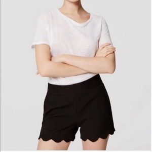 ANN TAYLOR LOFT Riviera Scalloped Short